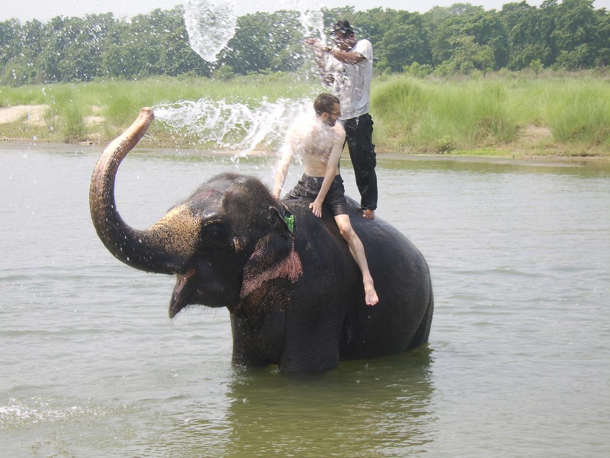 Rainbow Safari Resort Sauraha Exterior foto