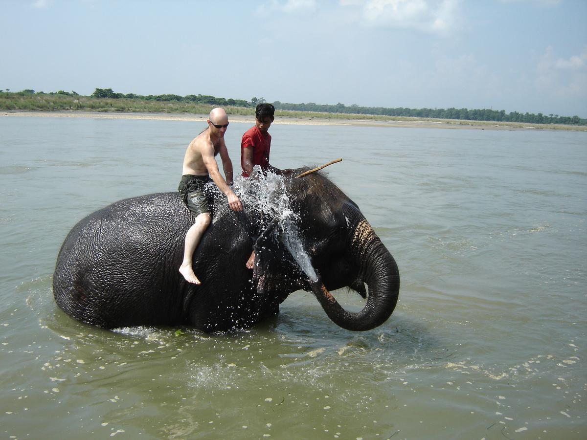 Rainbow Safari Resort Sauraha Exterior foto