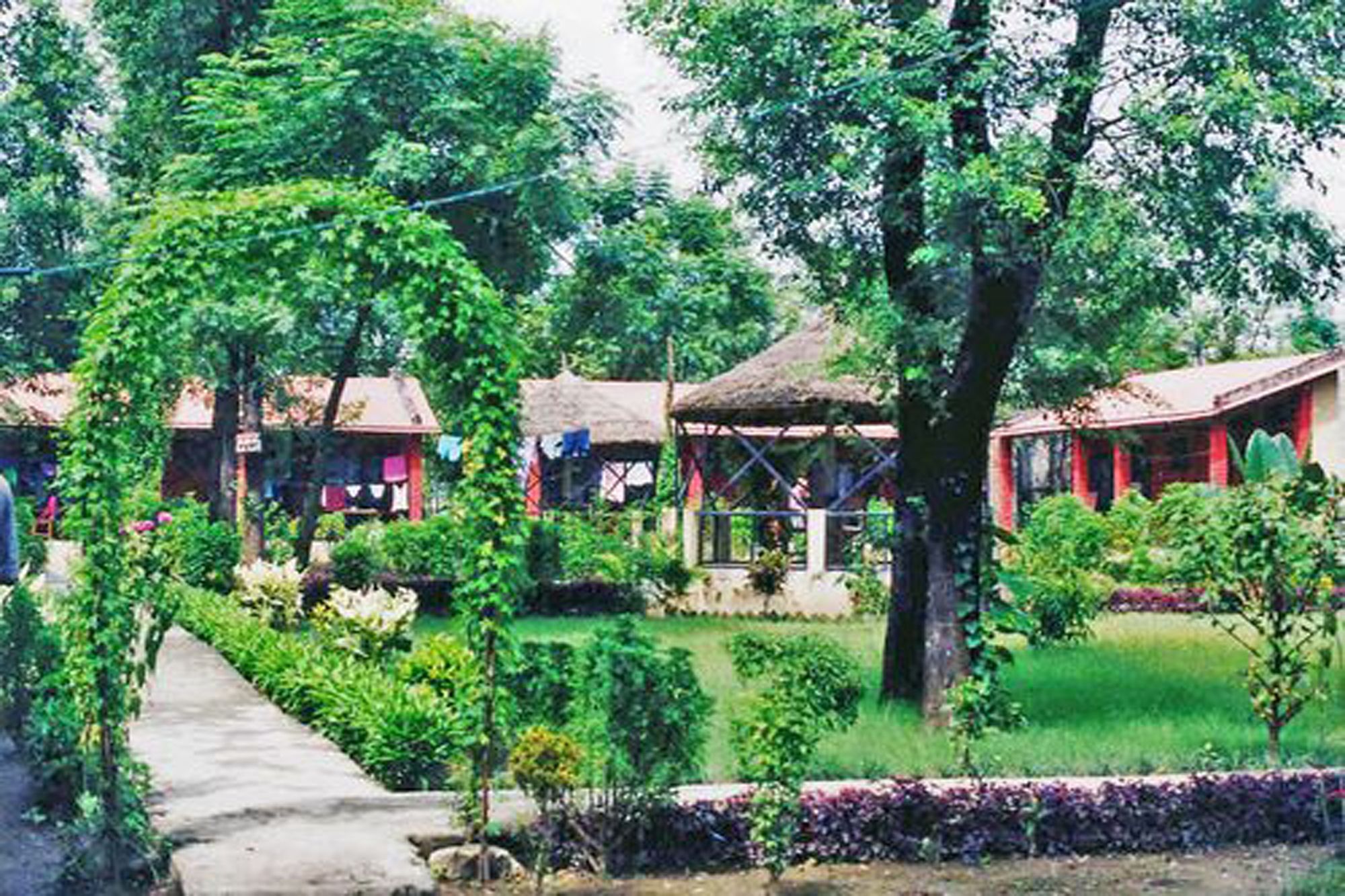 Rainbow Safari Resort Sauraha Exterior foto