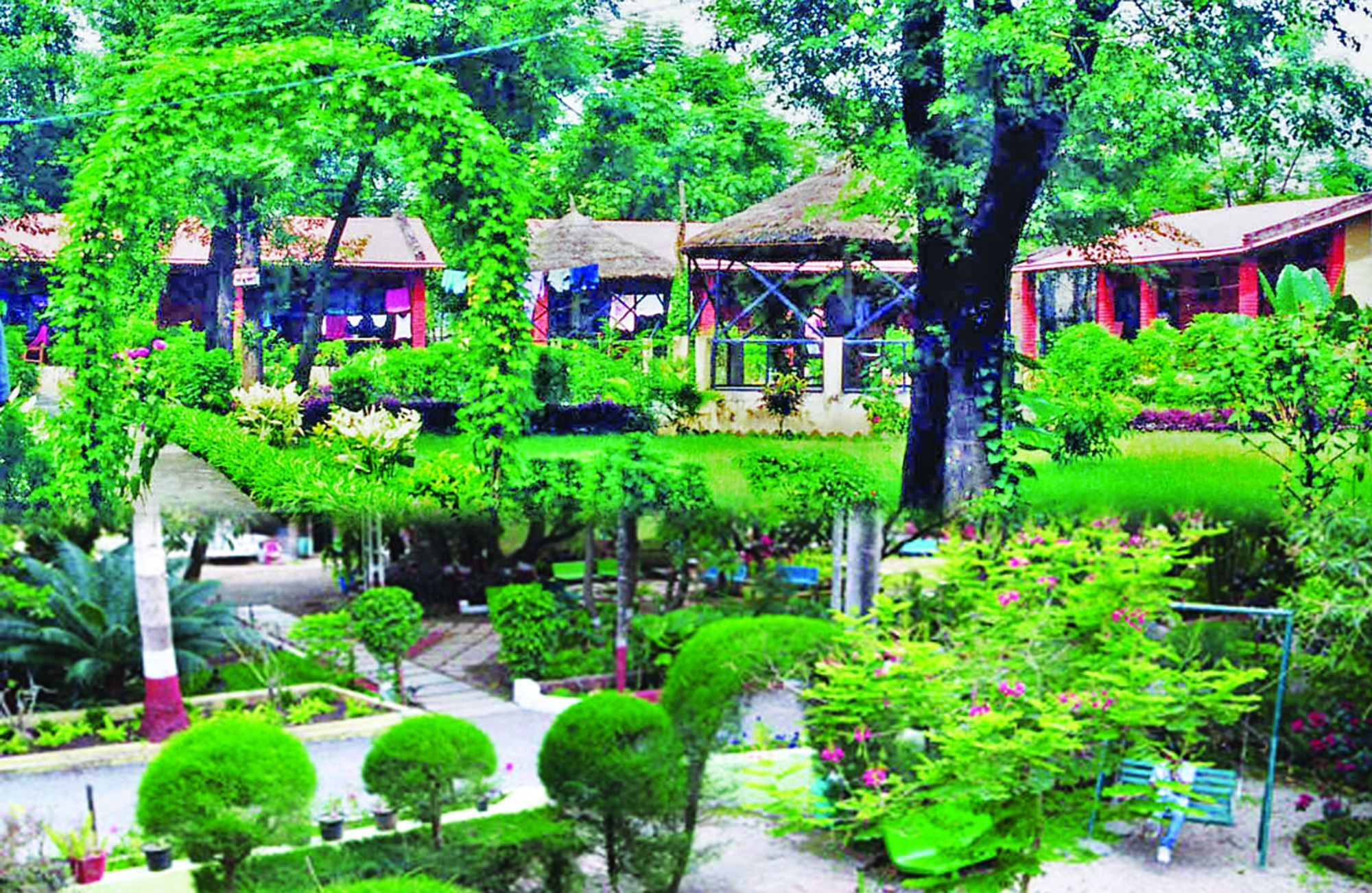 Rainbow Safari Resort Sauraha Exterior foto