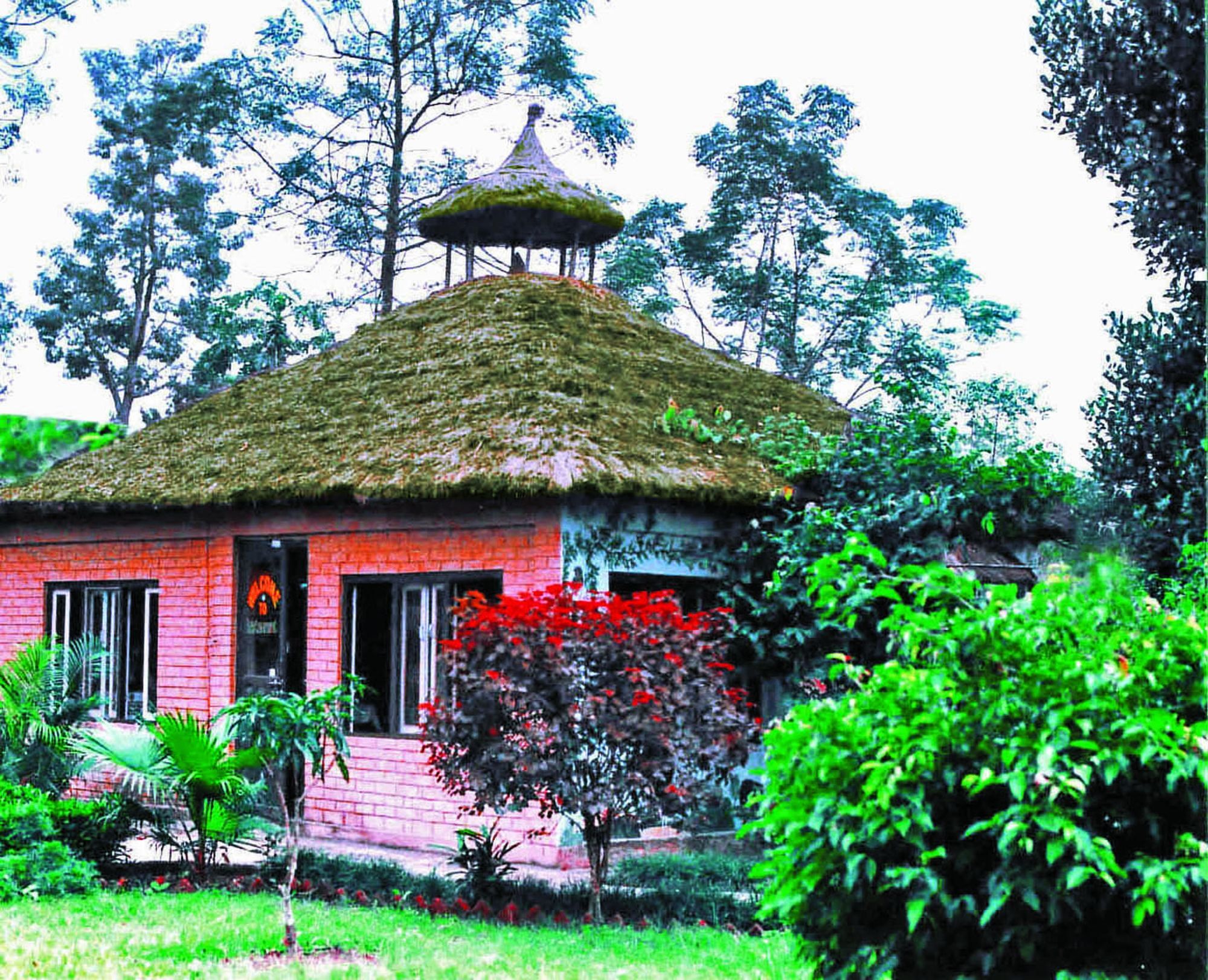 Rainbow Safari Resort Sauraha Exterior foto